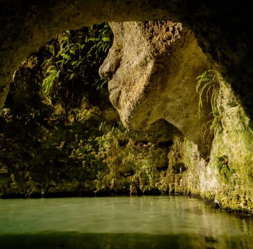 Cenote con Fiesta y Cena en Sacred River, foto 4