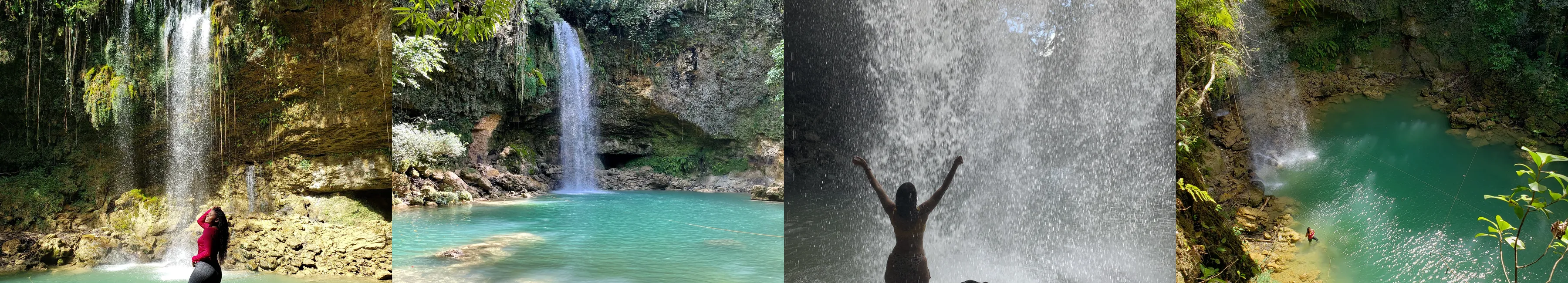 Entre Cascadas y Palmeras